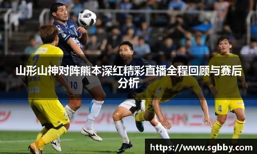 山形山神对阵熊本深红精彩直播全程回顾与赛后分析