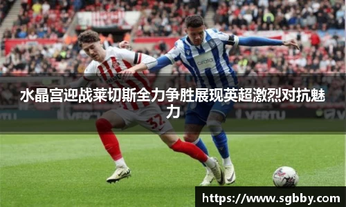 水晶宫迎战莱切斯全力争胜展现英超激烈对抗魅力