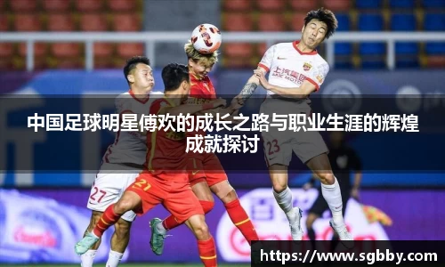 中国足球明星傅欢的成长之路与职业生涯的辉煌成就探讨